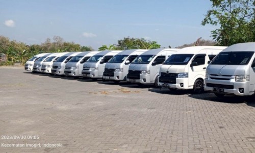 Alam Komodo Tour Travel