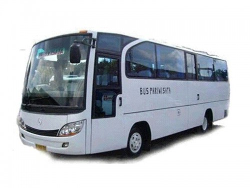 Medium Bus 39-40 Seats