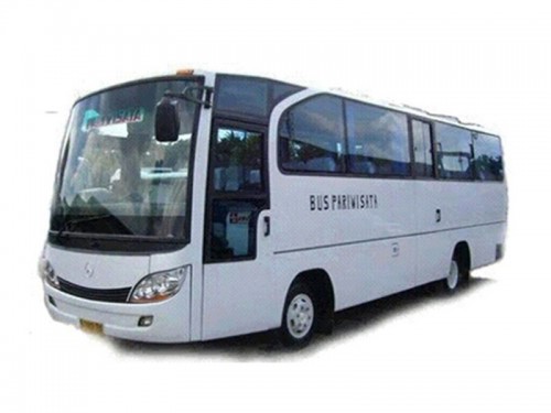 Medium Bus 31-33 Seats